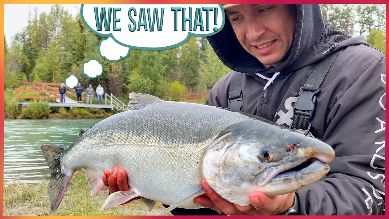 Silver Salmon Celebrating goes wrong! Kenai River Alaska Salmon Fishing