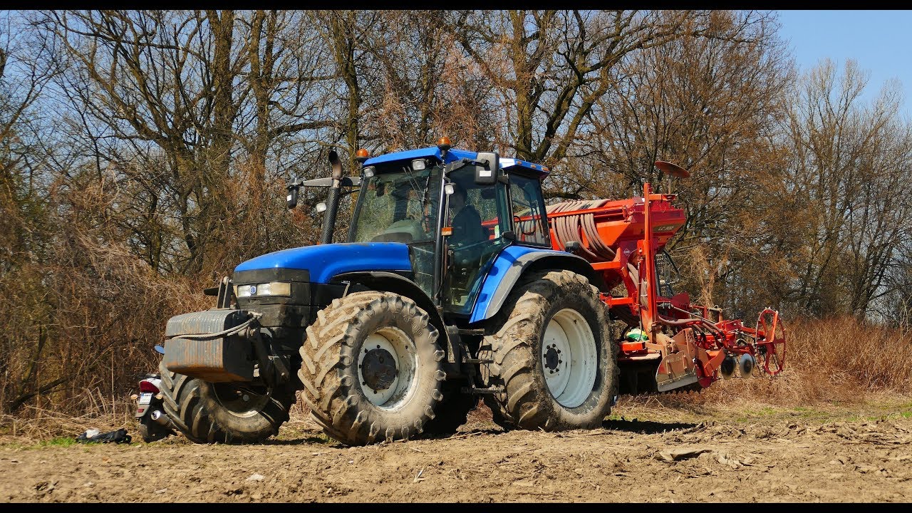 Siew pszenicy New Holland Tm 165