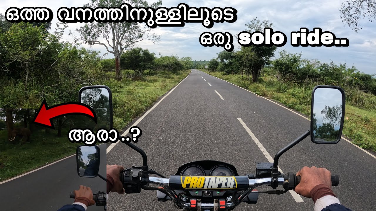 Madumalai tiger reserve 🐅ooty|| കൊടും വനത്തിനുള്ളിലൂടെ ഒരു solo ride with splendor Malayalam ||🌿♻️
