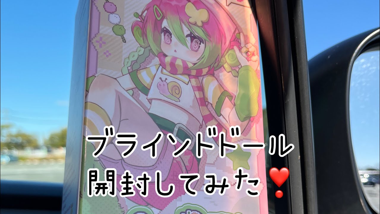 ブラインドドール開封！