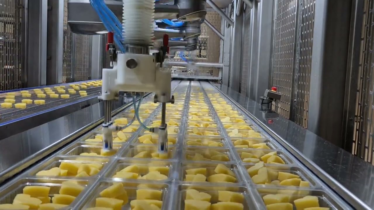 SAC Loader Multipicking 6 robot loads thermoforming machine