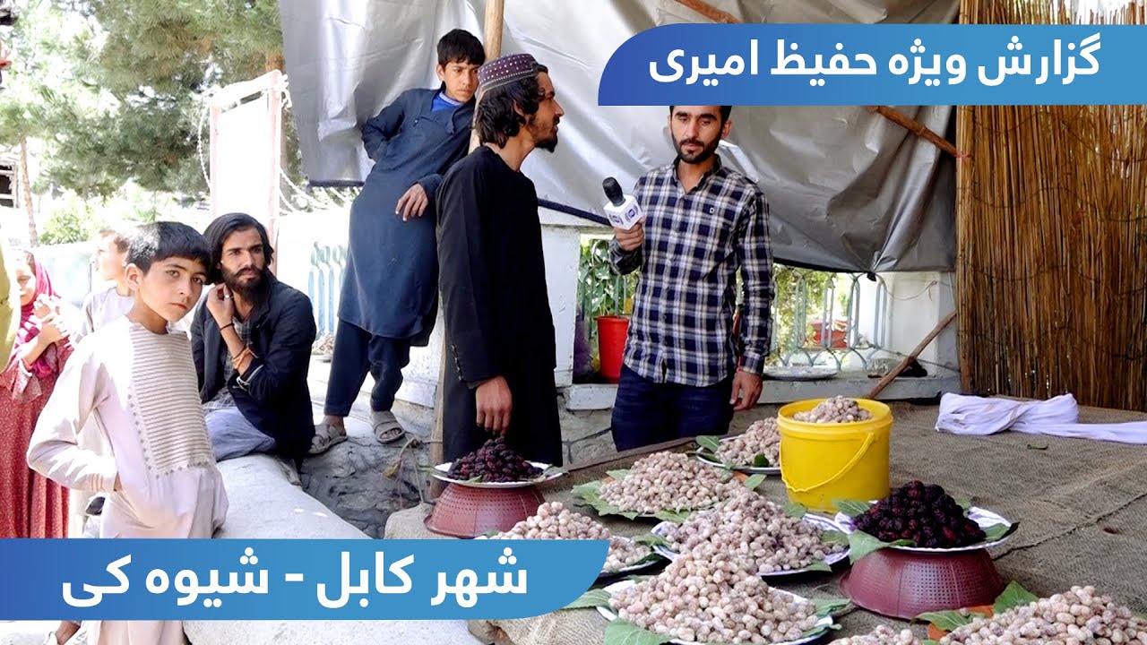 Shewaki in Hafiz Amiri report / شیوه کی در گزارش حفیظ امیری