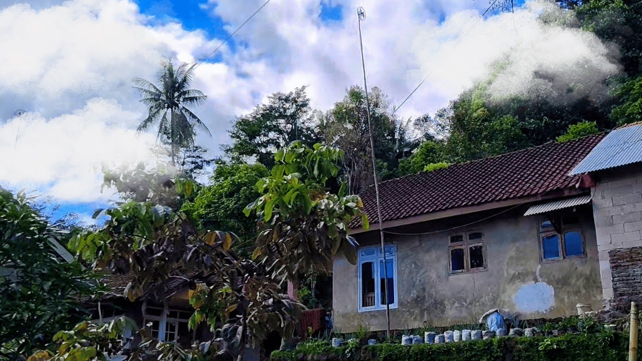 Suasana Desa Payung Majalengka Kampung Adem yang Kaya Tanaman Cengkeh