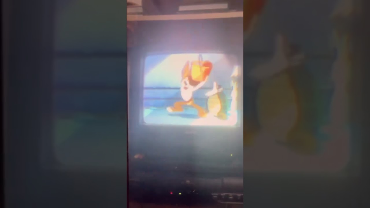 Silly Symphonies VHS 1987 Sped Up Backward