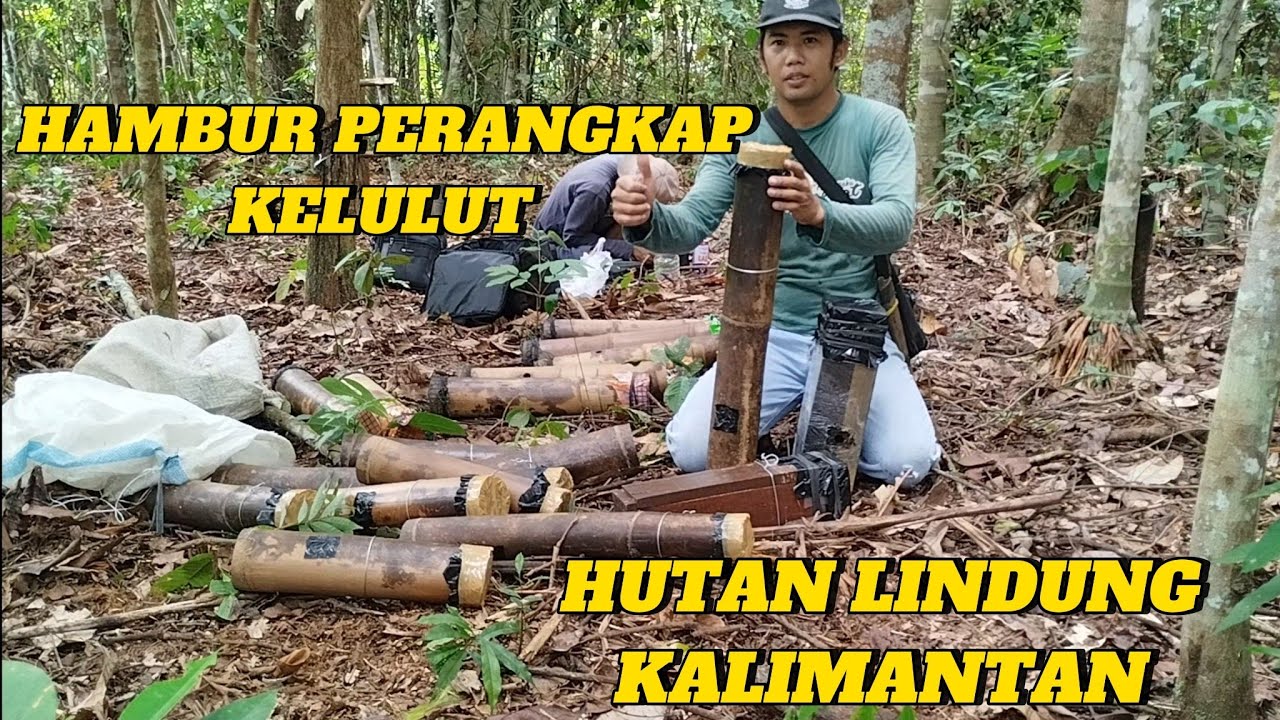 SIMAK  cara pasang perangkap kelulut ITAMA di daerah hutan lindung kalimantan areal yang prospektif