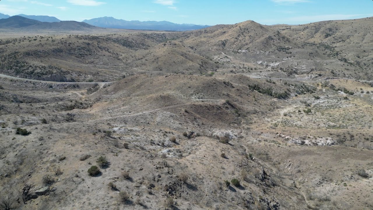 APTENSE - BioBlitz de la Frontera 2025