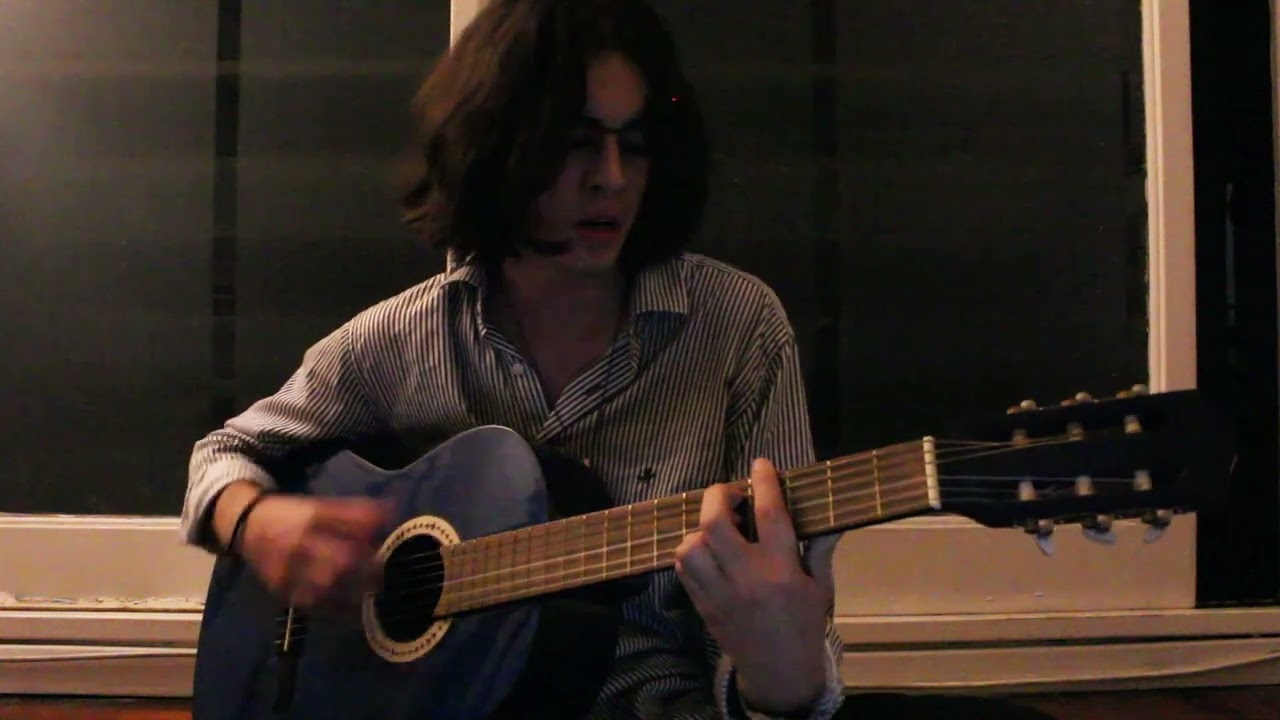 flesh canoe — animal collective (cover)