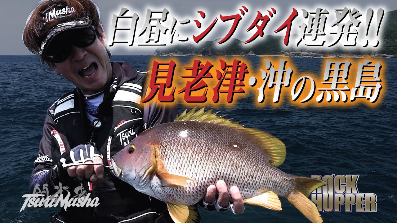 真っ昼間にシブ鯛が連発！！シロモッチ【スーパーフカセゲーム】IN和歌山県見老津 沖の黒島