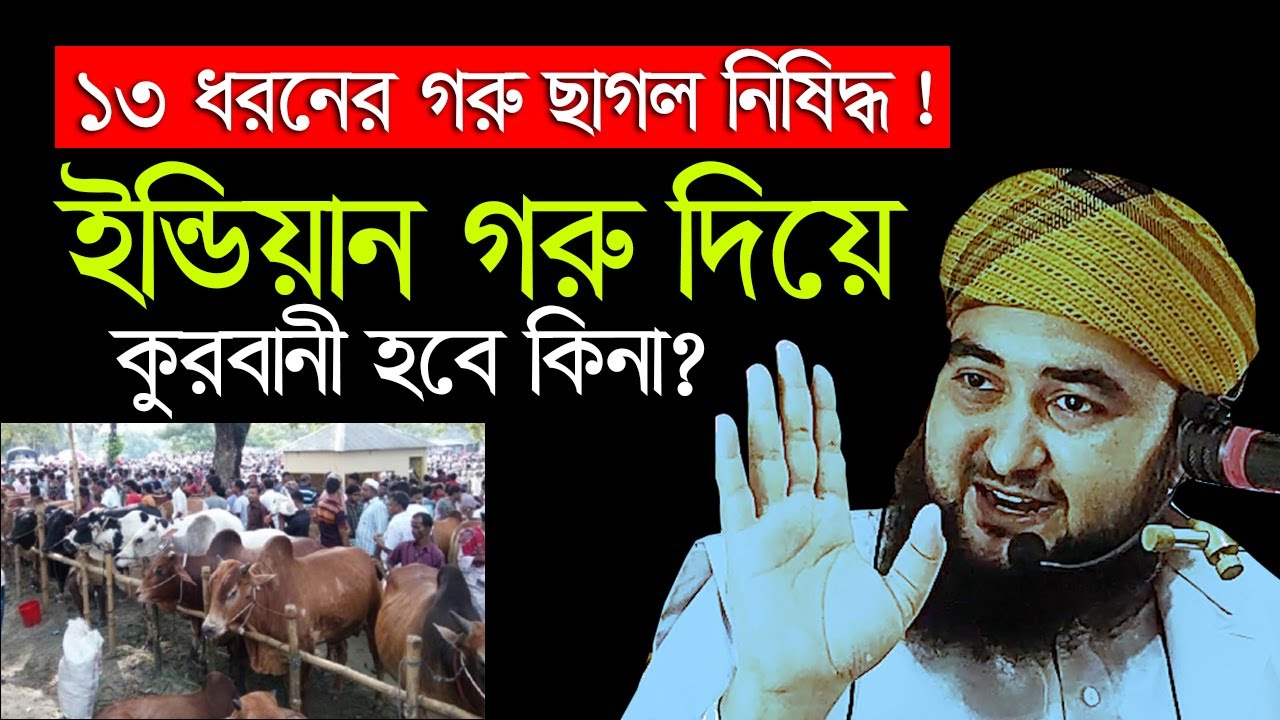 যে ১৩ ধরনের গরু ছাগল কুরবানী নিষিদ্ধ  কেনার আগে জেনে নিন । না হলে ভুল করবেন। Mustafiz rahmani