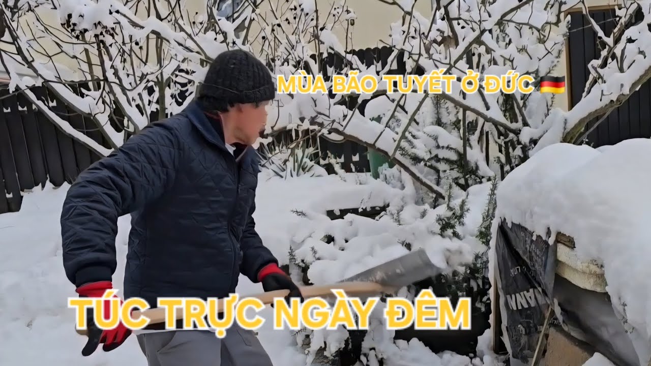 MÙA BÃO TUYẾT ❄️ :  THÁNG GIÊNG,  LÀ THÁNG LẠNH KHẮC NGHIỆT NHẤT Ở ĐỨC 