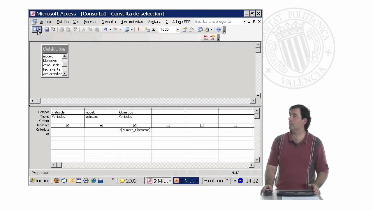Microsoft Access - Ejercicios - Diseño de consultas - Consultas con parámetros | 29/33 | UPV