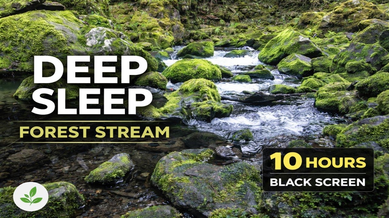 Forest Stream Sounds for Deep Sleep & Relaxation🌿 10 Hours | Black Screen | No Ads