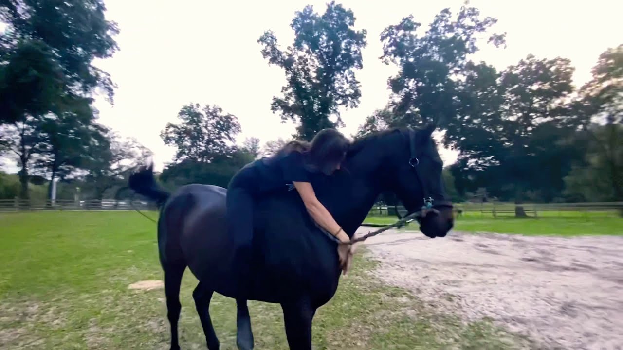 How To Mount A Horse Bareback