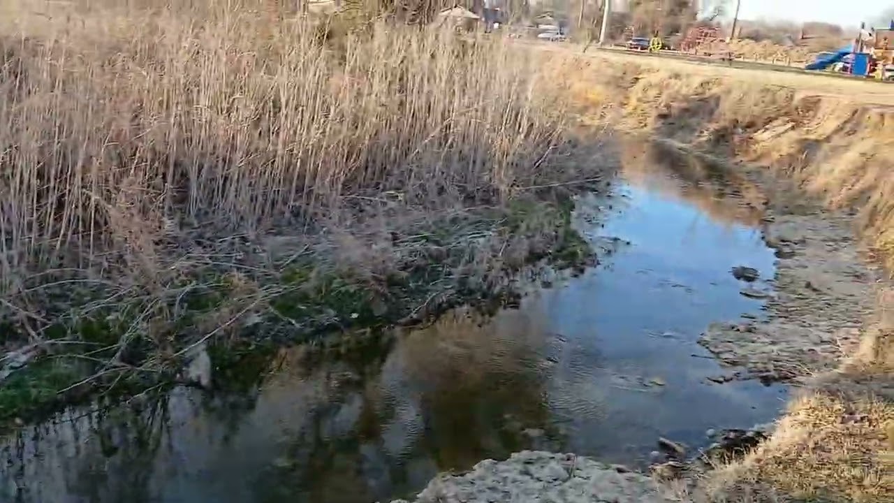 UNA TARDE EXPLORANDO EL PARQUE. (NO SABEN LO QUE PASÓ)😱