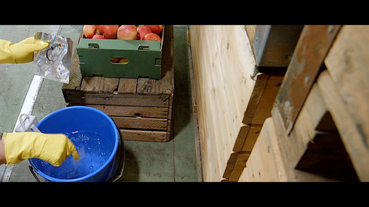 FruitSmart 1-MCP polski produkt do przechowywania owoców.