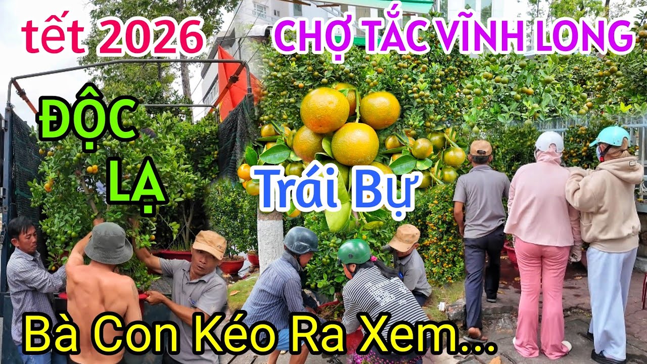 SÔI NỔI TẤP NẬP CHỢ HOA TẾT VĨNH LONG 2026 TẮC LẠ BÙNG NỔ BÀ CON ĐỔ XÔ ĐI MUA ĐÓN TẾT NGUYÊN ĐÁN