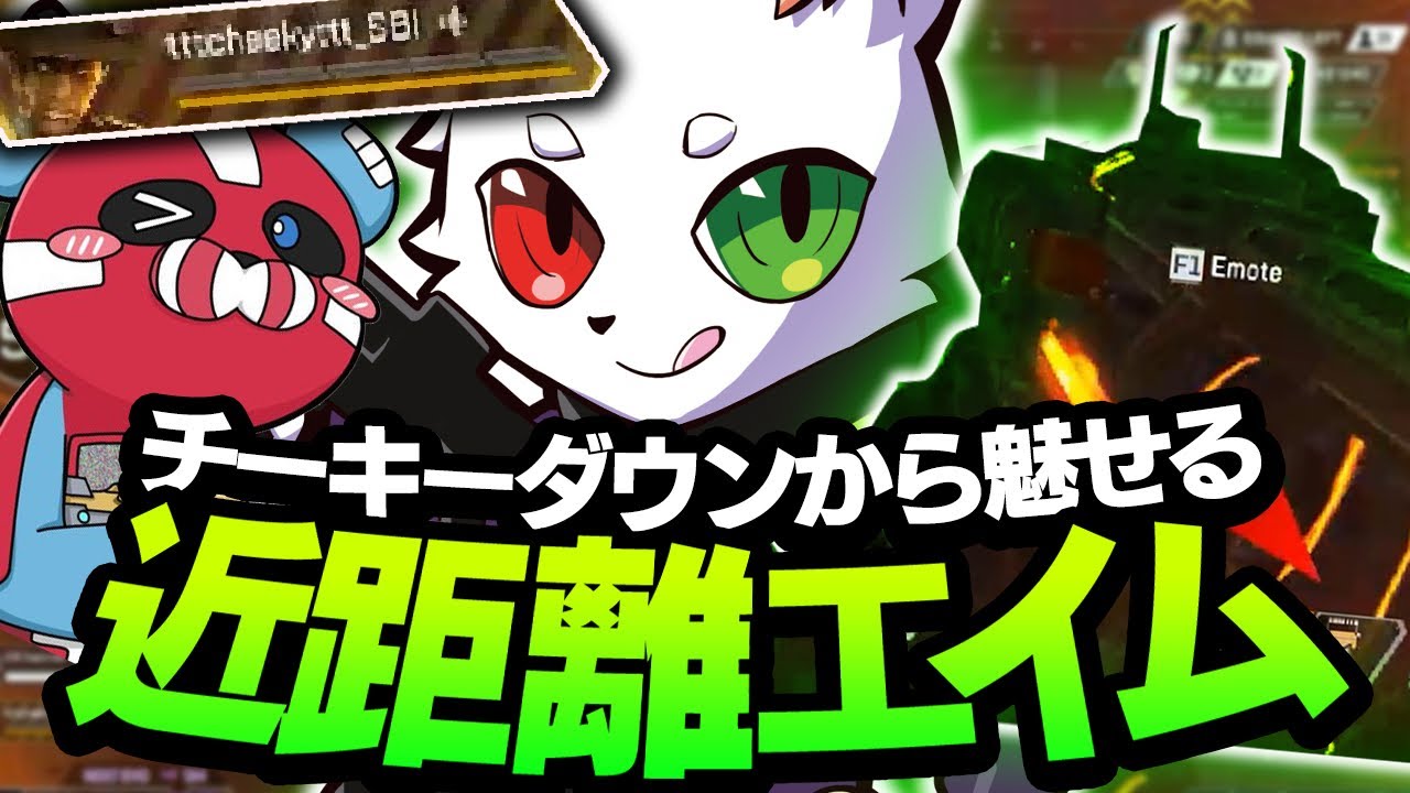 【CAR無双】我らが隊長