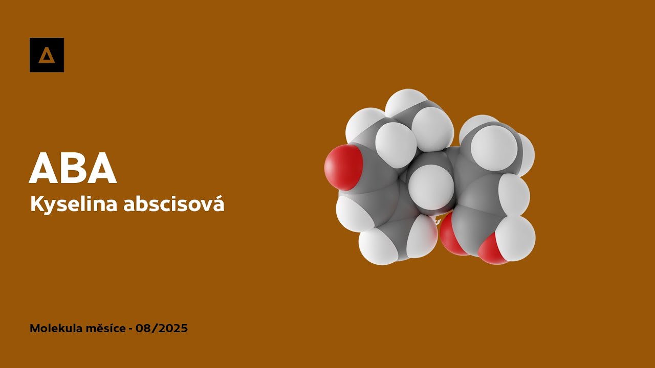Kyselina abscisová - ABA | Molekula měsíce - 08/2025