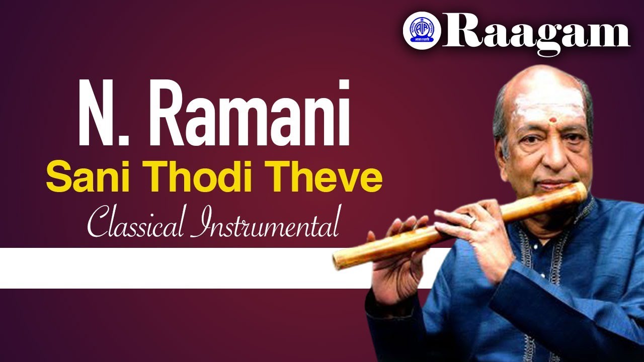 Dr. N. Ramani II Sani Thodi Theve II Flute
