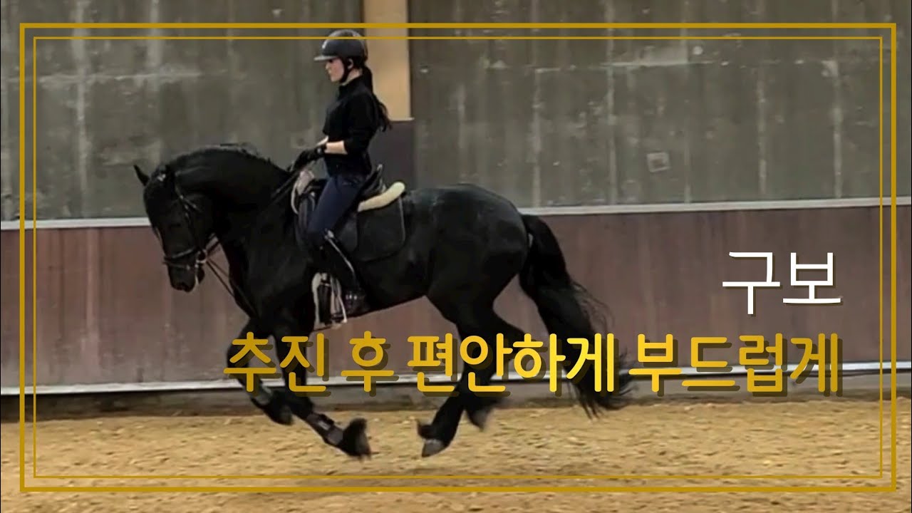 [승마] 추진 후 편안하게 부드럽게 | 구보 | DK Horse | 기승일기 | 이강진 코치 | W홀스랜드 | 마장마술 | Horse Riding | Vlog