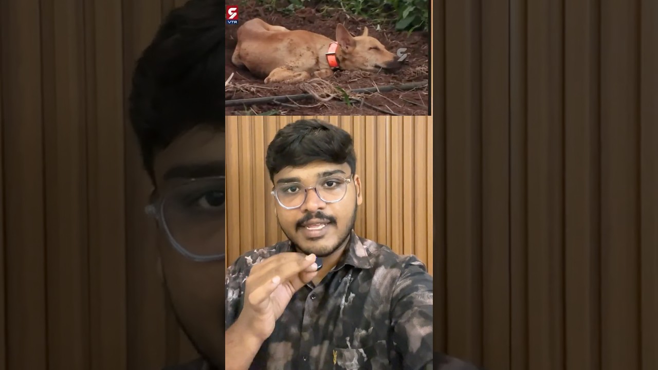 Jahnavi missing case | Main lead Dog Update | #dog #petlover