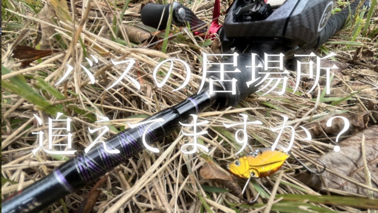 日に日にバスの居場所が変わってます  こんな感じに探していきます