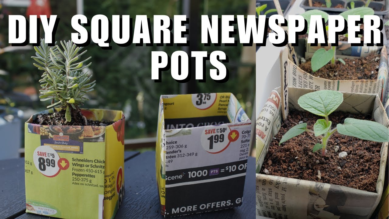 DIY Square Newspaper Pots for Plant Seedlings | Step by Step Guide