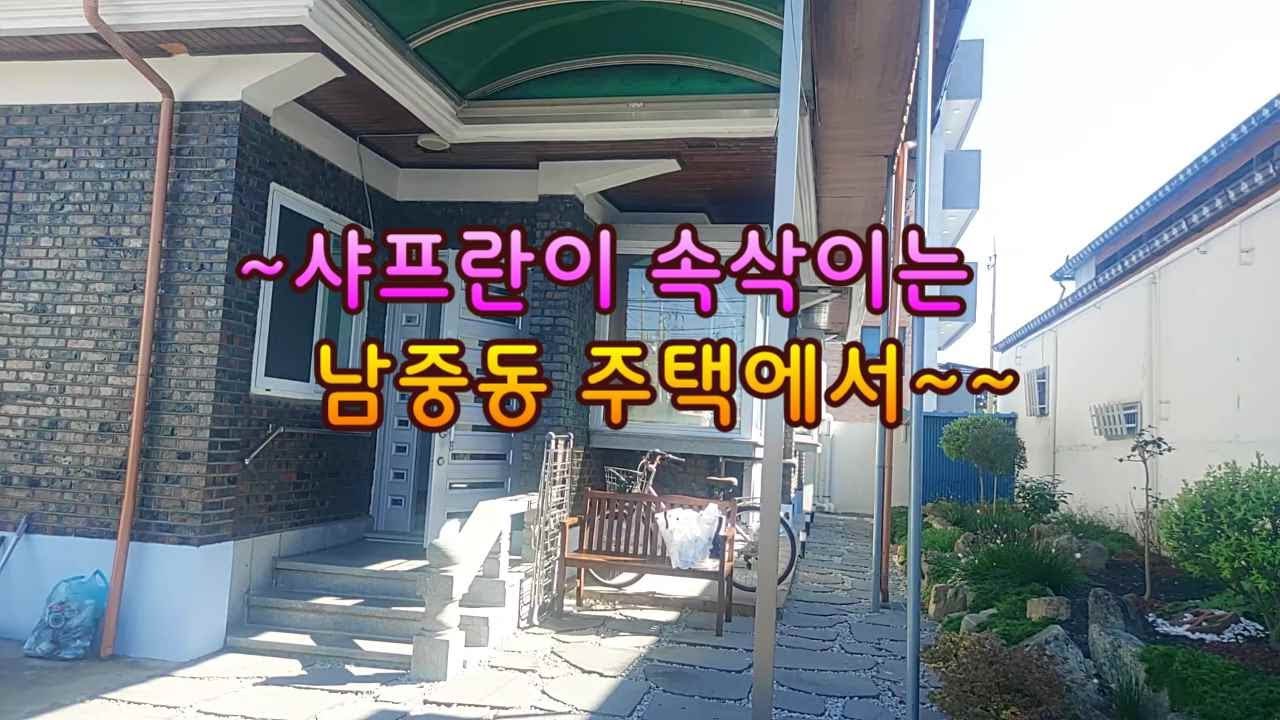 127   화단가득 샤프란이 예~쁜 익산 남중동 주택   ☎ 010-2361-2238
