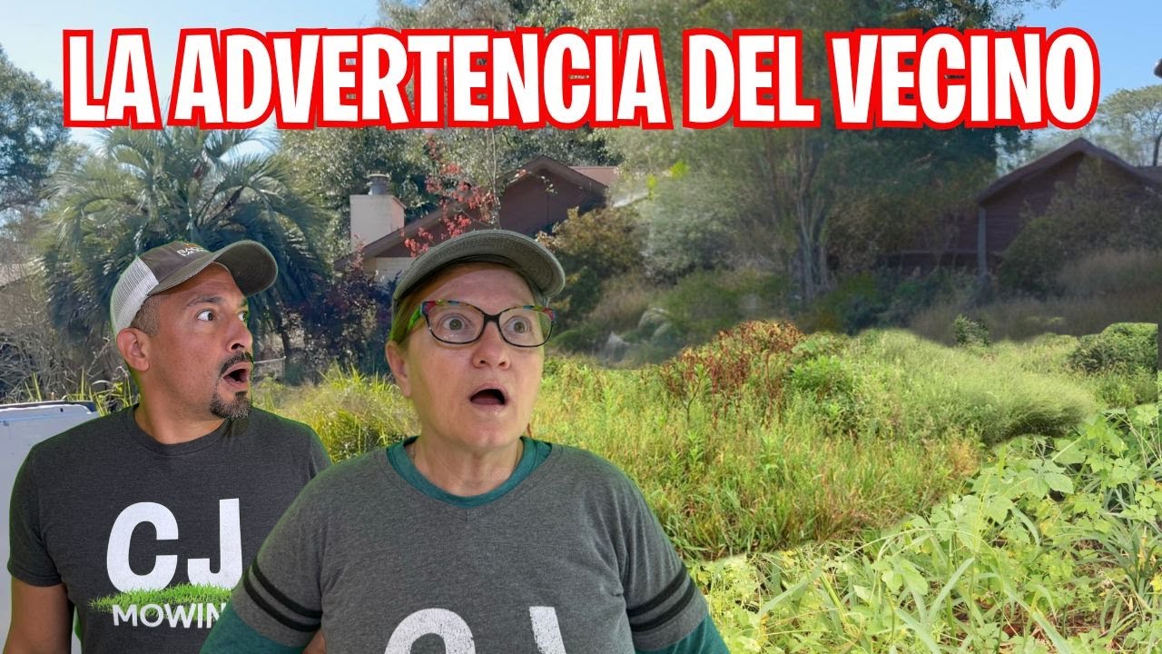 ¡DETÉN EL CORTE!