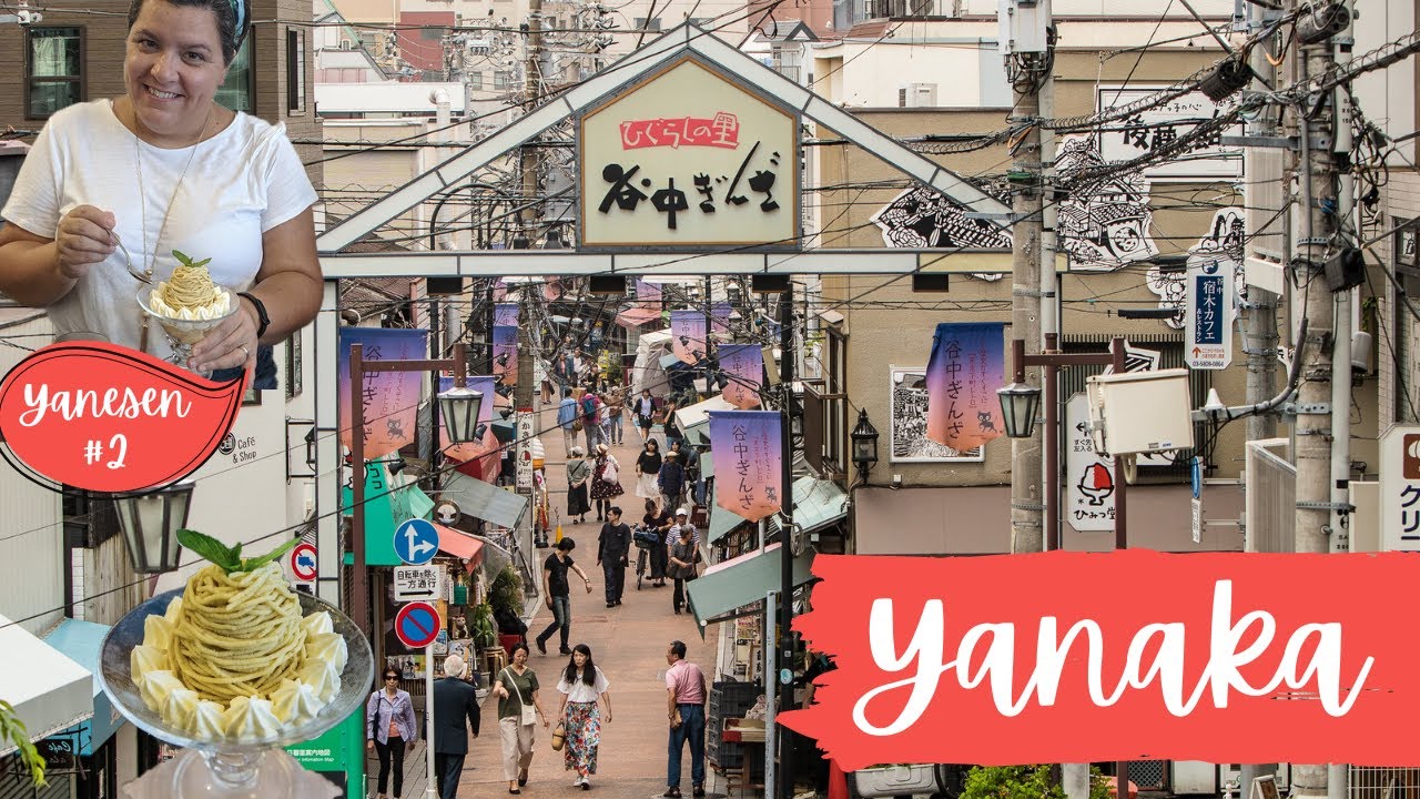 Paseo por YANAKA: Comida callejera, cementerio de Yanaka, templos y santuarios... (TOKIO, JAPÓN)