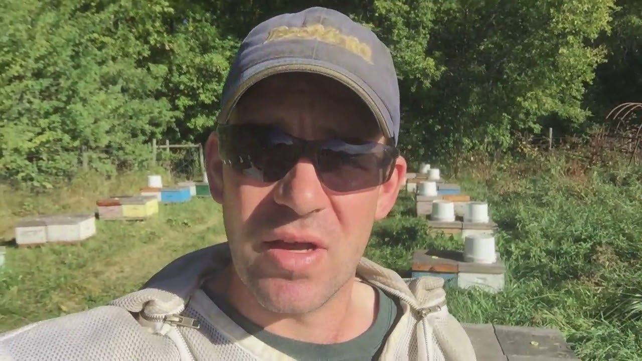 a Canadian Beekeeper&rsquo;s Blog - Mite Wash and Mite Counts