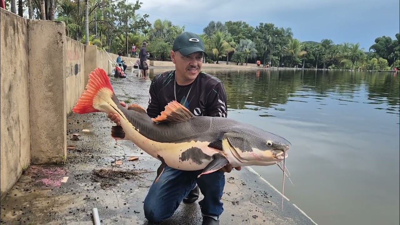 PESCARIA ENTRE AMIGOS #crescimento #fishing #PIRARARA 