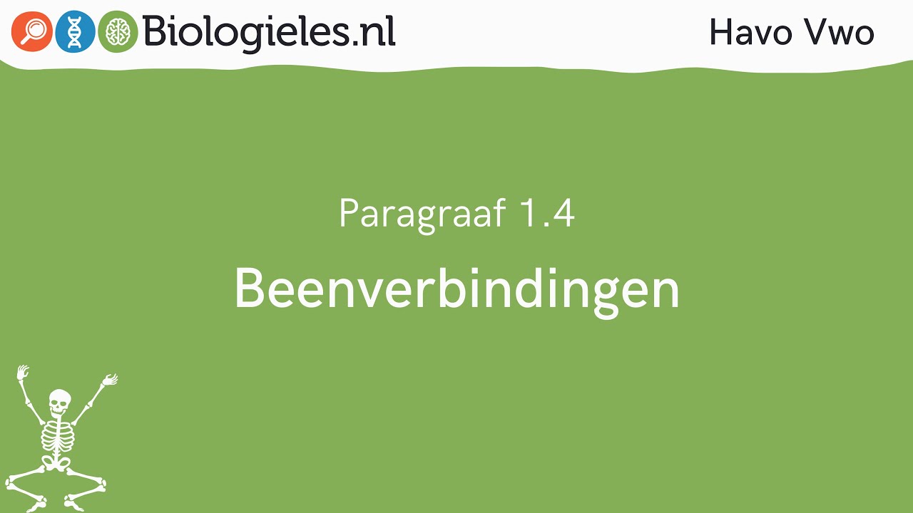 Havo Vwo 1 | Stevigheid en beweging | 4. Beenverbindingen | Biologieles.nl