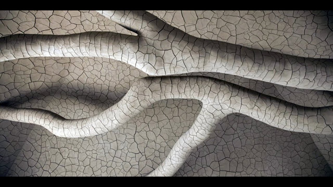 Nell Shaw Cohen : Transforming Forest (2019)