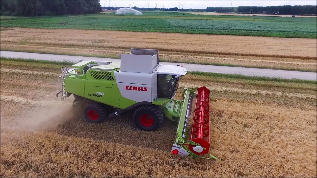 CLAAS Lexion / Zomergerst dorsen / Summer Barley  /  Sommergerste / Drone / Combine /Agriculture