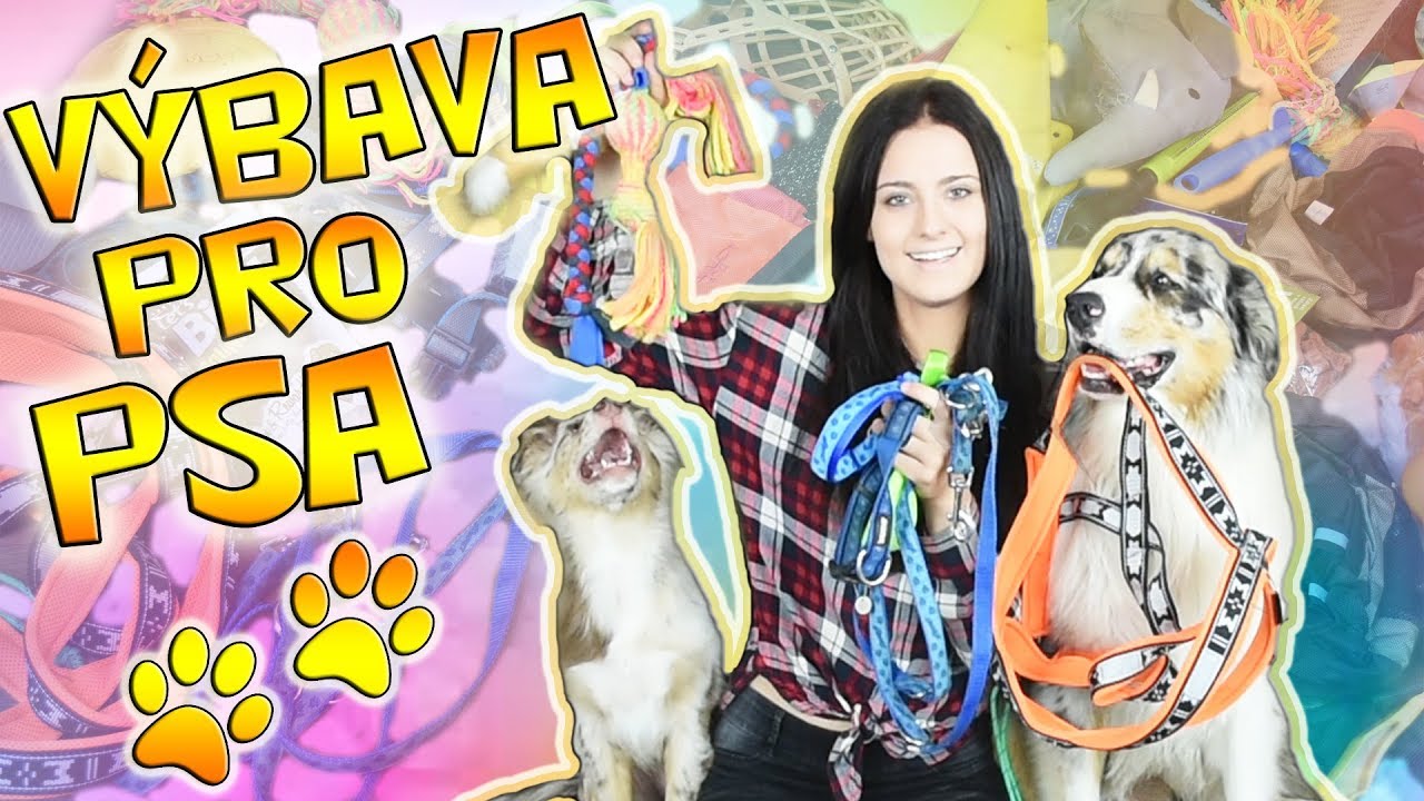 V&Yacute;BAVA PRO PSA - Jak&eacute; věci m&aacute;m pro psy?