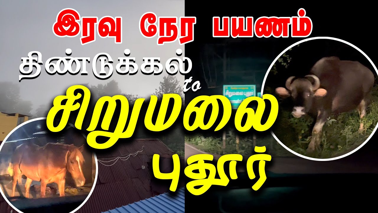SIRUMALAI | சிறுமலை | சிறுமலை புதூர் | Night travel at sirumalai