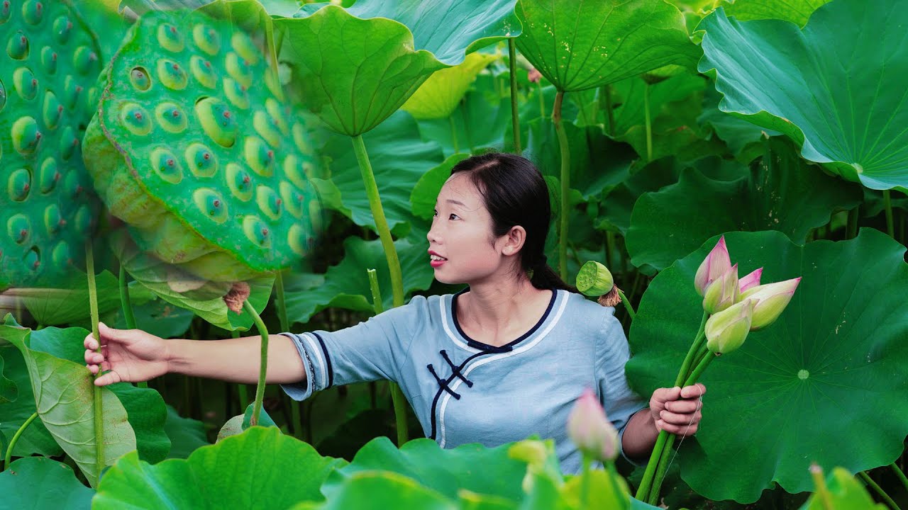 Chinese food made with lotus | 它出淤泥而不染，濯清漣而不妖，一池荷花，一桌菜 | 野小妹wild girl  美食