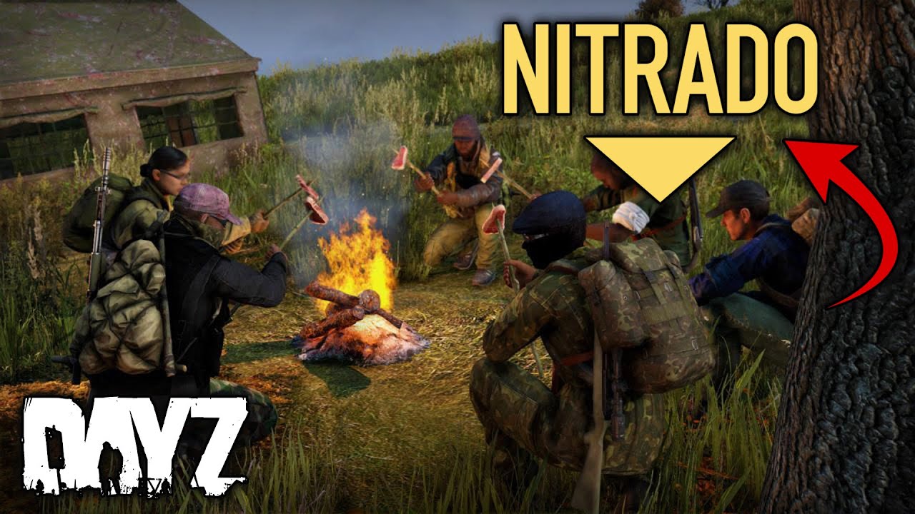 ¡CONSIGUE TU PROPIO SERVIDOR de CONSOLA para DAYZ! Guía Básica Nitrado - DayZ