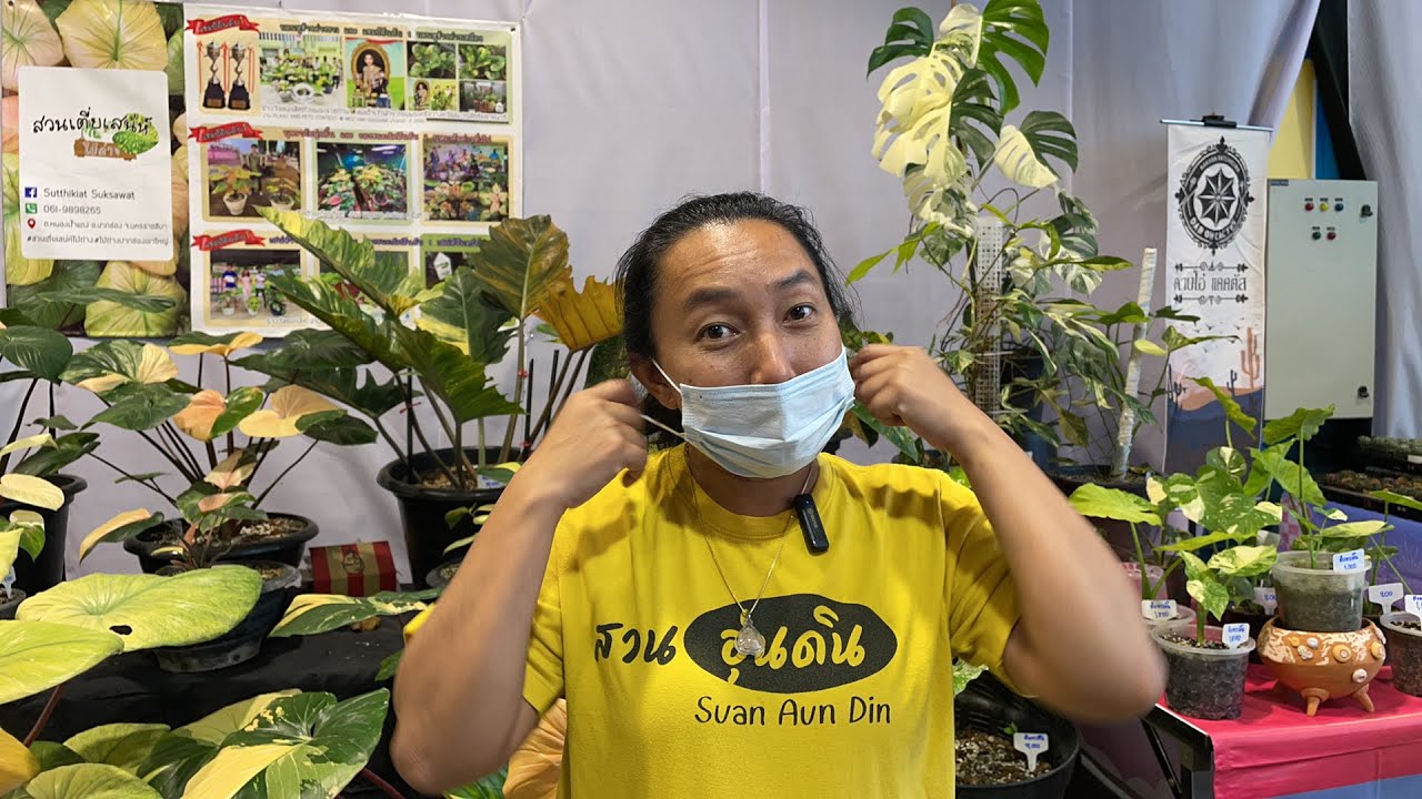 วันที่2 ช้อปไม้กันในงาน ครอบครัวนักปลูก Family Plants Market 2022 @เซ็นทรัลโคราช | Live | สวนอุ่นดิน