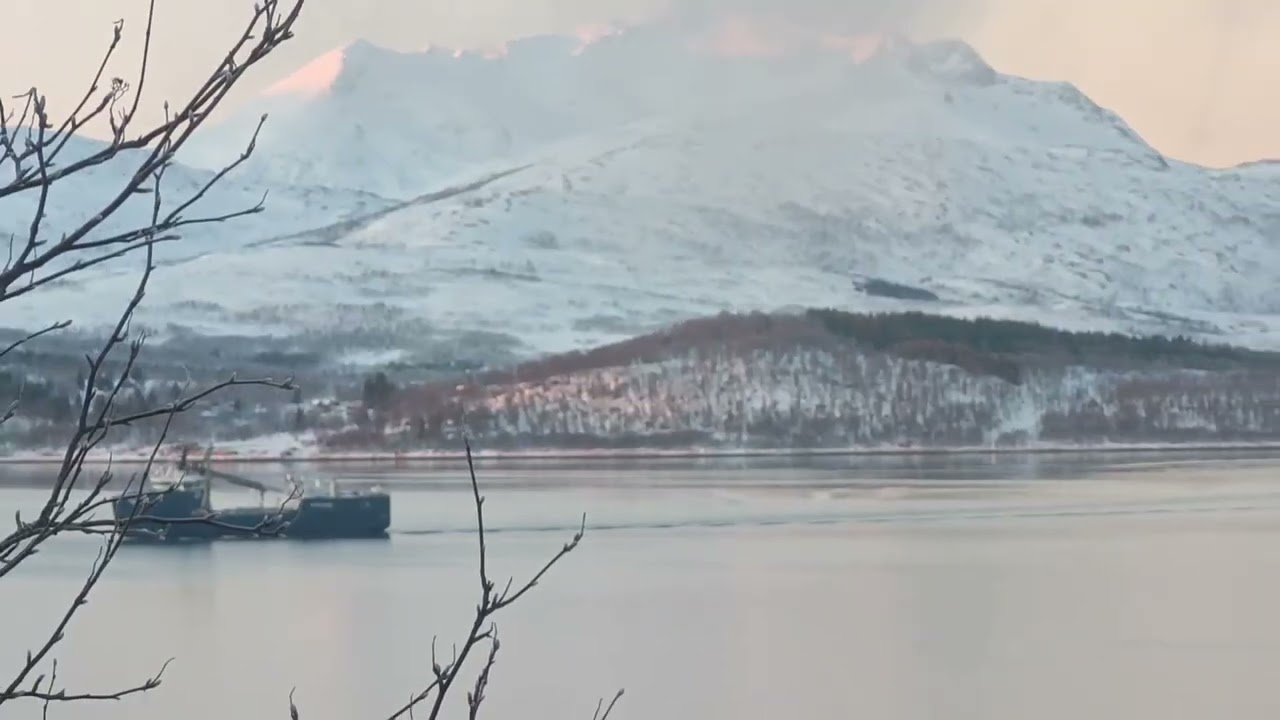 🚢🏔️❄️ Ships sailing through Norwegian fjords #vessels #norway #passing #sailing #fjords 