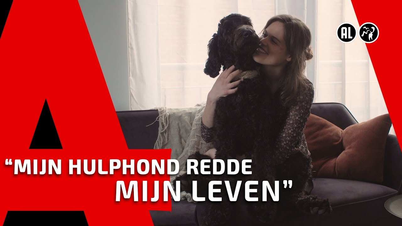 STIJN // HULPHONDEN WORDEN NIET VERGOED
