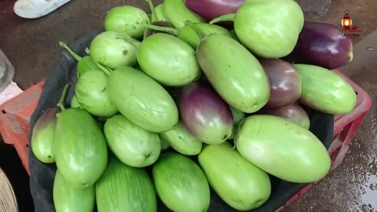 Purnia Sabji Mandi Mein Dikhi Baingan, Karela aur Mooli ki Nayi Varieties Mansi visit 7 January 2026