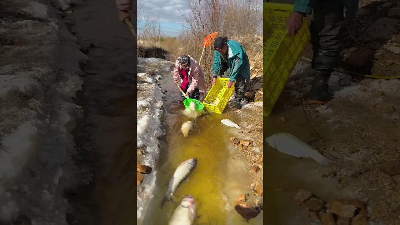 Winter Fishing Joy, Nature, Snow & Big Fish 