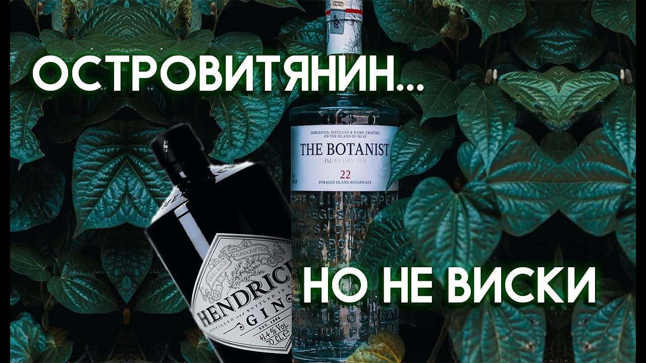 THE BOTANIST 22 Islay Dry Gin vs HENDRICKS Gin | Сравнение Лучших Шотландских Джинов | Женя Пьёт#35