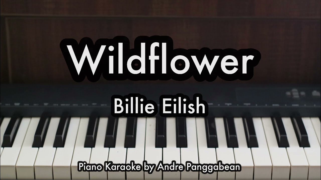 Wildflower - Billie Eilish | Piano Karaoke by Andre Panggabean