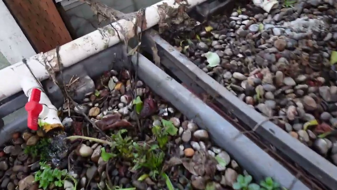 2025 Year End Aquaponics Update ... how it went