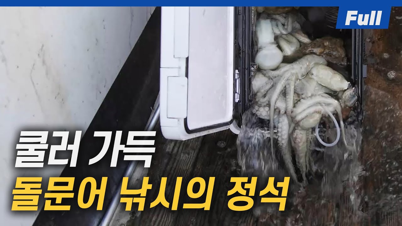 [Full] kg급 여수 돌문어 낚으러 가자! 돌문어 낚시 패턴은 어떨까?? [바다포수/55회]
