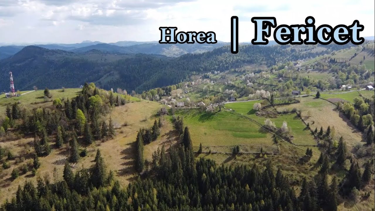 Horea Fericet Alba