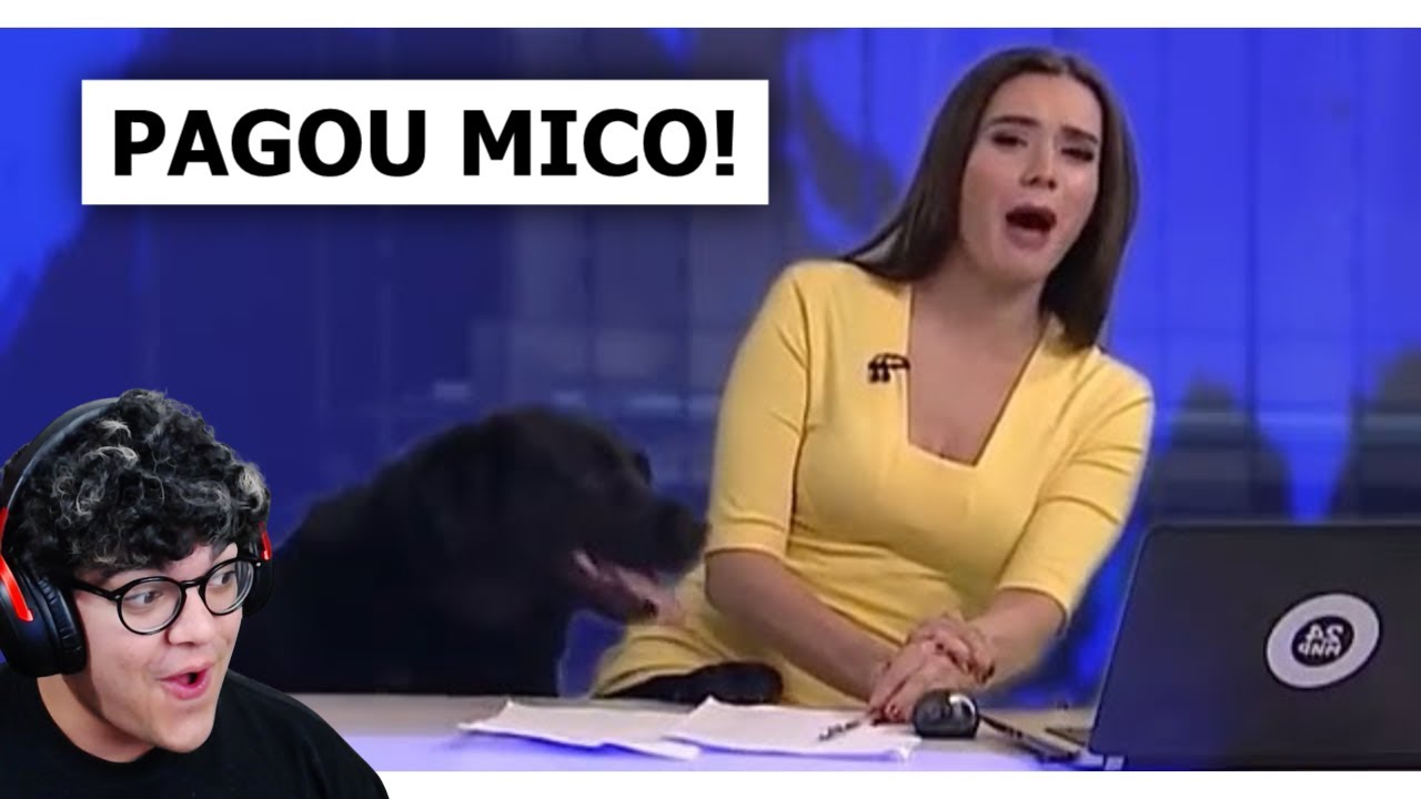 vendo MICOS da TV BRASILEIRA 6